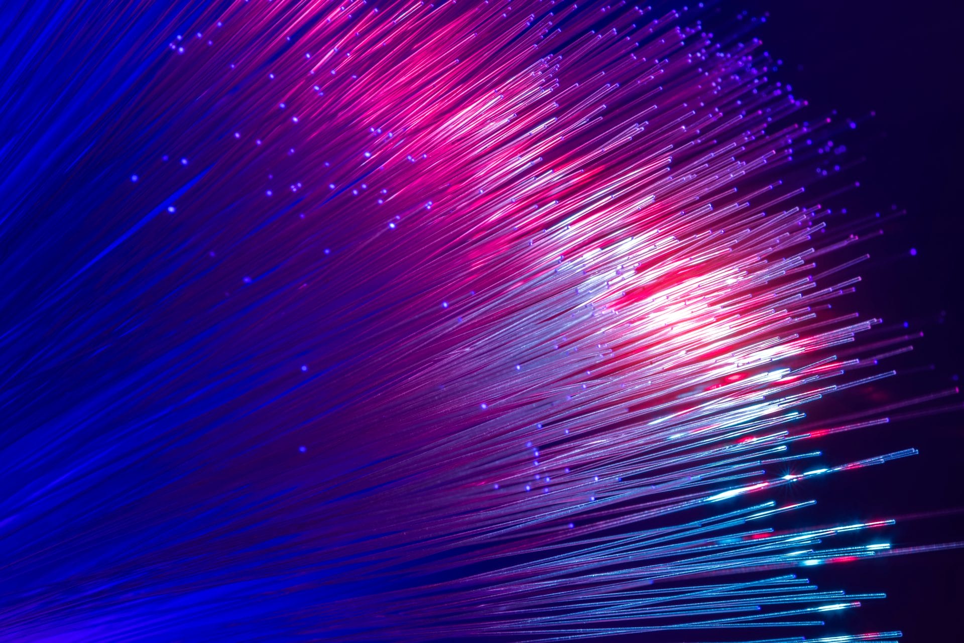 AdobeStock_242135482